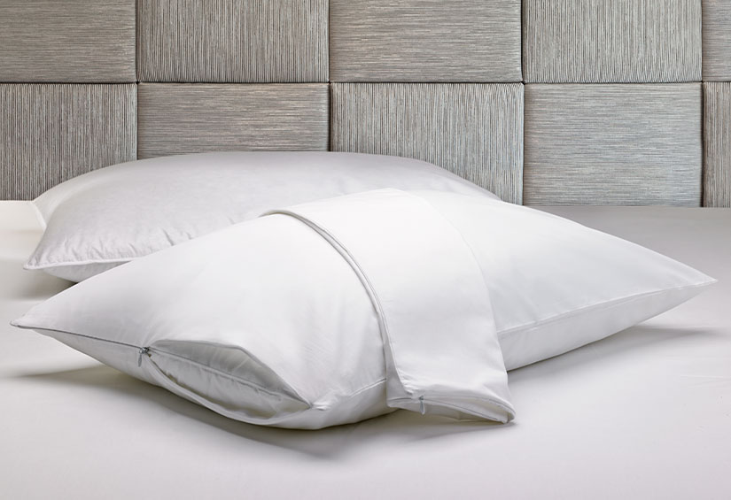 Buy sheraton pillows online